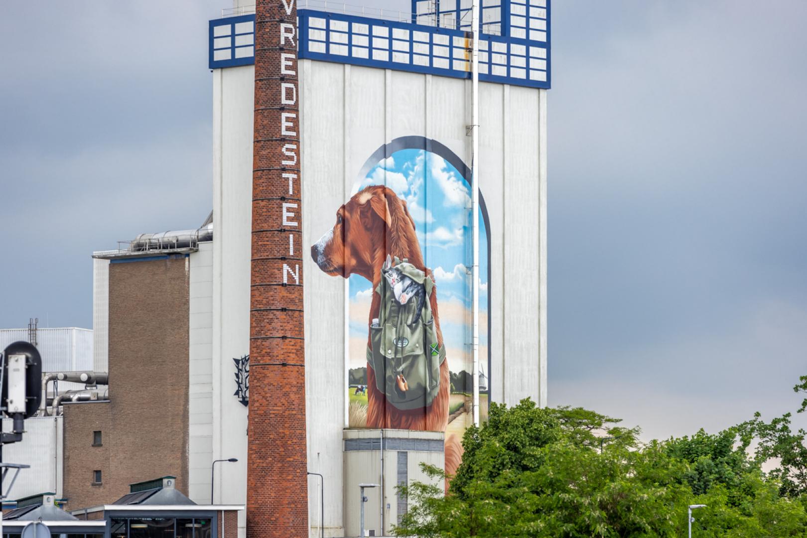 stad de hond